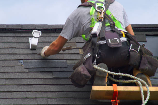Best Roof Gutter Cleaning  in South Run, VA